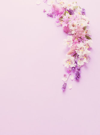 white and purple flowers on purple paper backgroundの写真素材