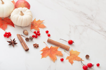 autumn natural decor on white marble backgroundの写真素材