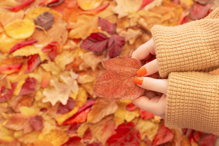 female hands with orange manicure on background of autumn leaves