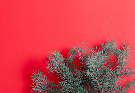 green fir branches on red christmas backgroundの写真素材