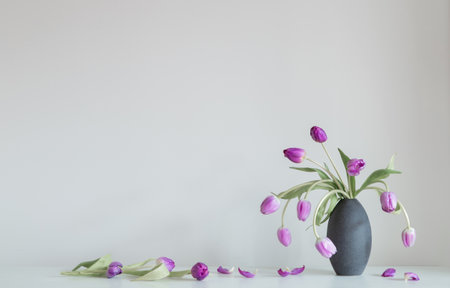 purple tulips on white shelf on background wallの写真素材