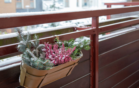 fir branches and flowers in flowerpots in snow on balconyの写真素材