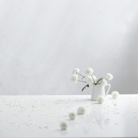 white chrysanthemums in jug on white backgroundの写真素材
