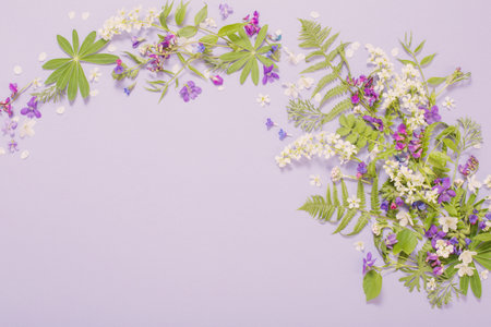 spring flowers on violet paper backgroundの写真素材