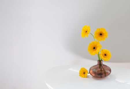 yellow gerbera in glass vase on white table on white backgroundの写真素材