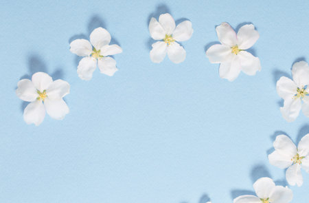 apple flowers on blue paper background