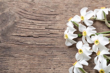 narcissus on wooden backgroundの写真素材