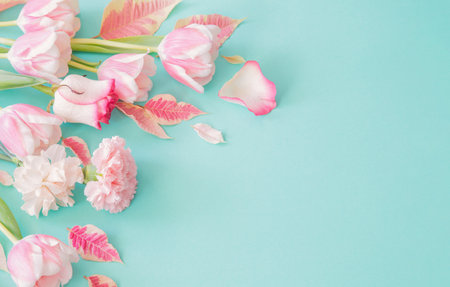 beautiful pink spring flowers on blue backgroundの写真素材