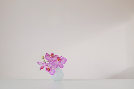 purple orchid in glass vase on white backgroundの写真素材