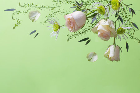 flowers and plants on green backgroundの写真素材