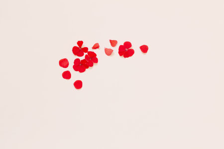 frame of red geranium on white background