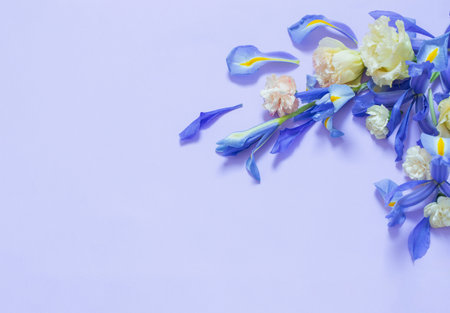beautiful spring flowers on purple backgroundの写真素材