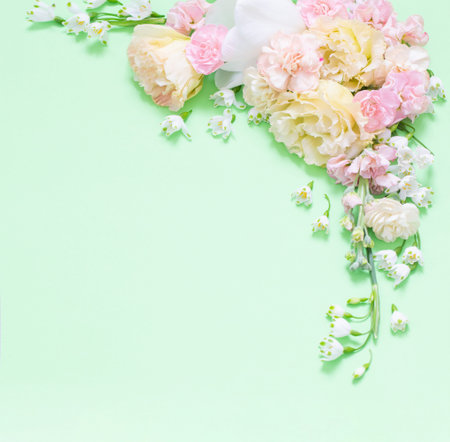 beautiful spring flowers on green backgroundの写真素材