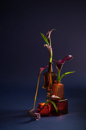 purple calla lily in vase on dark backgroundの写真素材