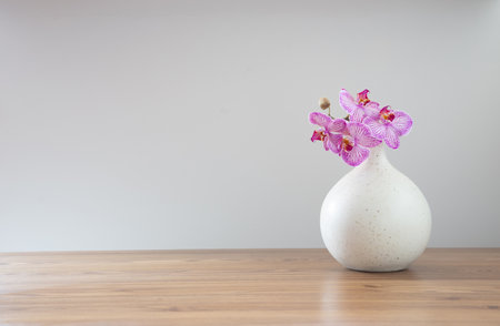purple orchid in modern ceramic vase on white backgroundの写真素材