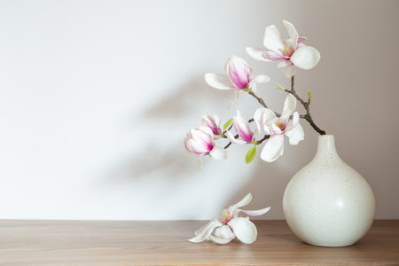 magnolia flowers in vase in white backgroundの写真素材