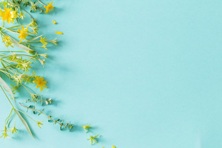 wild spring flowers on paper backgroundの写真素材