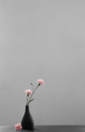 pink carnations in black vase on black tableの写真素材