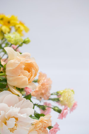 summer beautiful flowers on white backgroundの写真素材