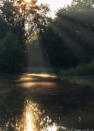summer morning landscape with lake and treesの写真素材
