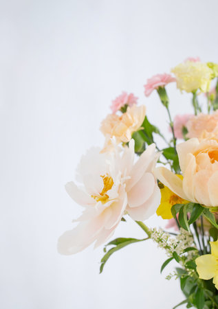 summer beautiful flowers on white backgroundの写真素材