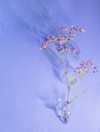pink and white summer flowers on blue background in sunlight