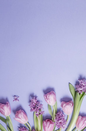 spring flowers on purple paper backgroundの写真素材