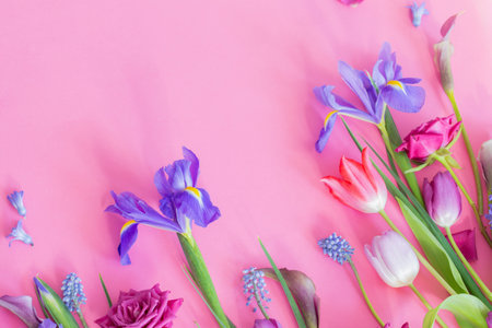 beautiful spring flowers on pink paper backgroundの写真素材