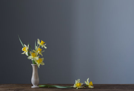 yellow narcissus in vase on wooden table on dark backgroundの写真素材