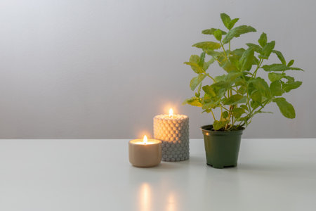 mint in green flowerpot with burning candles on white tableの写真素材