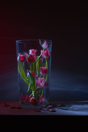 tulips in big glass vase on dark background