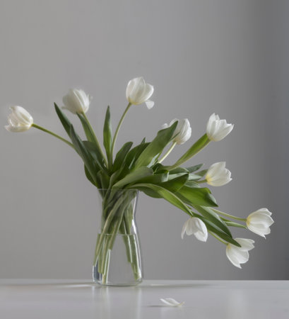 white tulips in glass vase in white interiorの写真素材