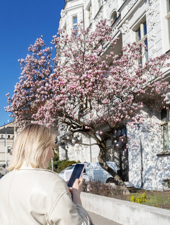 young woman with phone in city against background of blooming magnoliaの写真素材