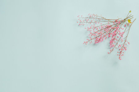 wild beautiful flowers on paper background