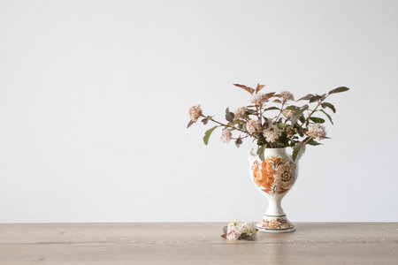 spirea flowers in vintage ceramic vase on background white wall