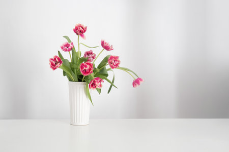 beautiful tulips in vase in white interiorの写真素材