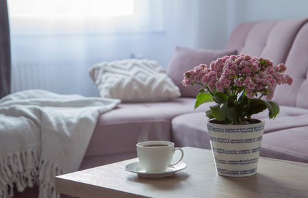 modern interior with houseplant in pink colorsの写真素材