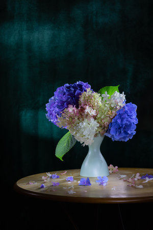 purple; blue; round; curtain; velvet; still life flower; still life photography; birthday; greeting; hortensia; fragility; arrangement; rustic; bunch; decor; pink; flora; bloom; vase of flowers; light; season; wooden; background; bouquet; decoration; beautiful; vase; vintage; flower; floral; summer; plant; nature; table; dark; garden; retro; white; beauty; romantic; hydrangea; gift; natural; wood; fresh; life; color; spring; still life;の写真素材