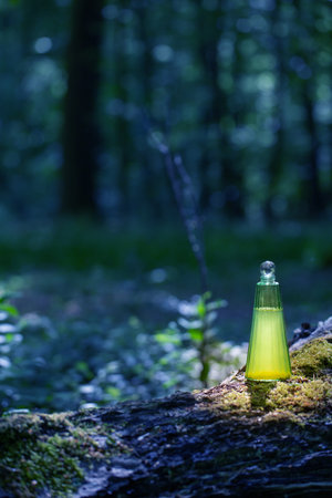 magican potion in glass bottle in summer forestの写真素材