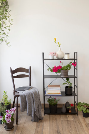 eclectic seating area with houseplants, books and a vintage chairの写真素材