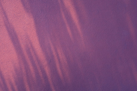 background of purple wall in sunlightの写真素材