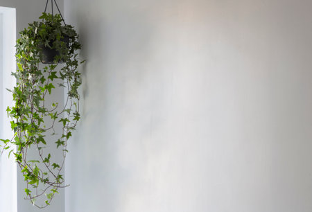 green houseplant on background white wallの写真素材