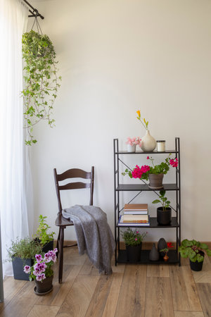 eclectic seating area with houseplants, books and a vintage chairの写真素材