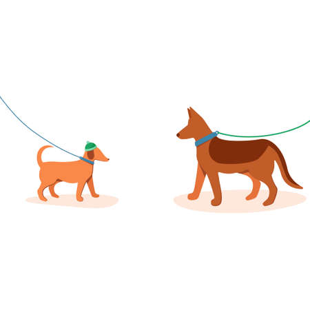 A place for walking dogs. Different dogs on leashes. flat style illustration on white background isolatedのイラスト素材