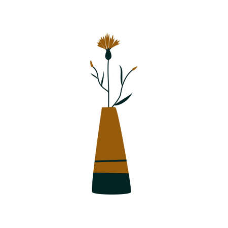 Cornflower flower in a vase vector flat illustration in cartoon style. A beautiful composition of blooming flowers with leaves and stem isolated on a white background. Flowering plants and herbsのイラスト素材