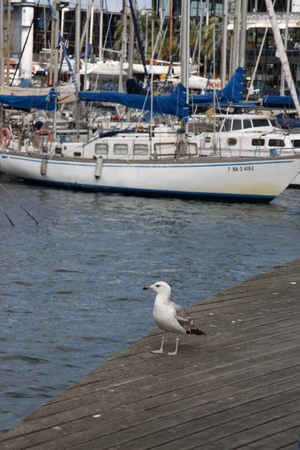 Port Vell harbor area. Barcelona, Catalonia, Spain.のeditorial素材