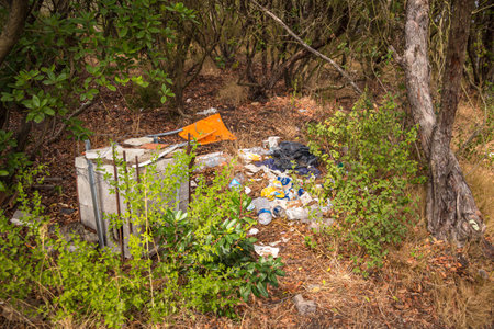 environmental pollution through irresponsible dump of trash in national park of Elbaの写真素材