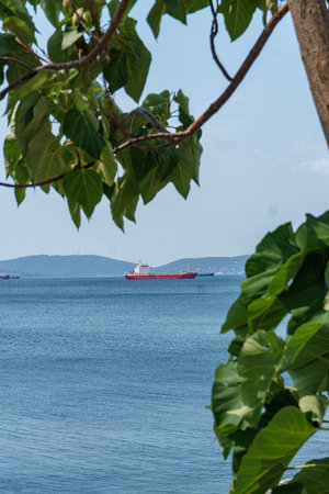 Cargo ship in the sea on the background of green leaves.の写真素材