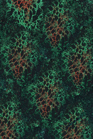 Embossed, velvety background with a large abstract spot pattern. A black base is complemented by...