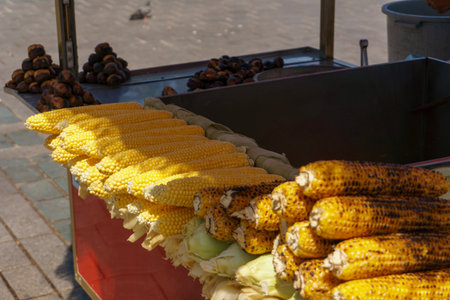 Traditional Turkish street food cart at historic EminÃ¶nÃ¼ Square in Istanbul displaying boiled corn on the cob, charcoal grilled corn and roasted chestnuts.の写真素材